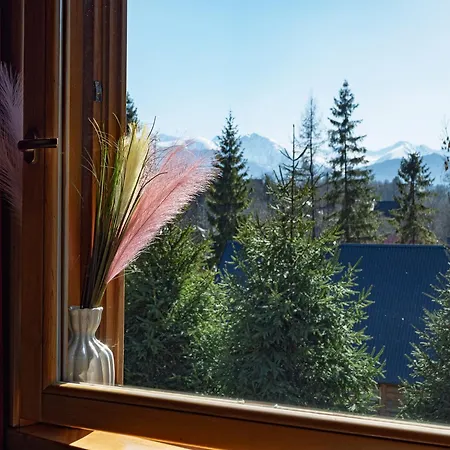 Looktatry Pod Stokiem & Jacuzzi 자코파네